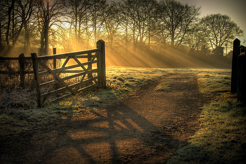 Sun's Rays and a Gate