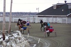 Horses and/or harness racing