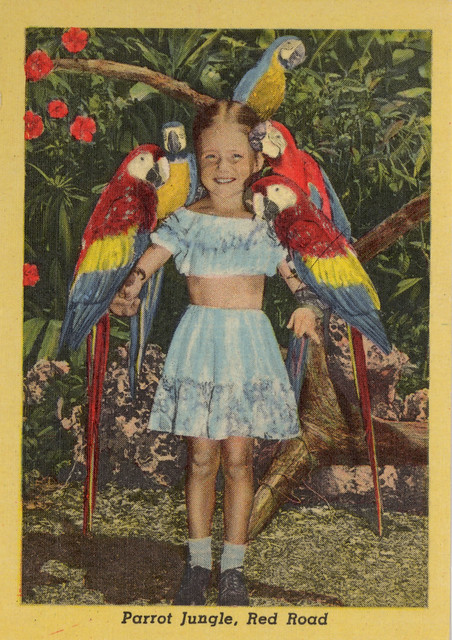 Little Girl Covered in Giant Parrots