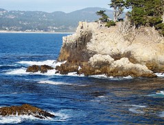 Point Lobos State Reserve - October 4, 2007