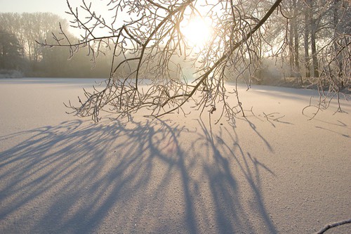 winter wonderland-004.jpg