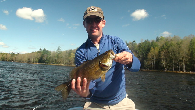 Maine Smallmouth Bass