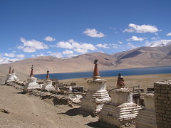 Explore Ladakh around Tsomoriri lake