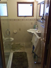Bathroom Renovation Project