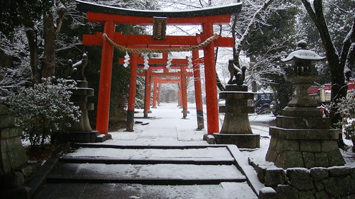 winter / snow : kyoto, japan