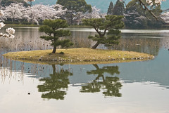 The Osawa pond