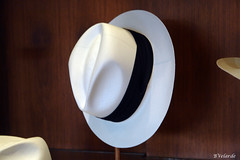 Panama Hats (Made in Ecuador)