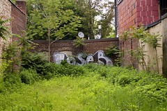 Graffiti, Bergen Lafayette