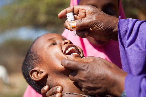 Polio vaccination a response of a recent polio outbreak in the Horn of Africa