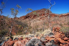 wild country - australia's wild landscapes
