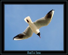 OSTSEE / Baltic Sea