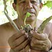 Shaman Wilson Montez with 'pusanga' plants