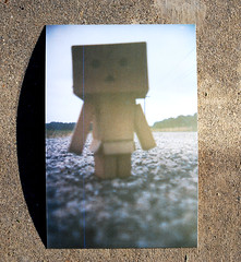 Danbo  Wall on Danbo Standing In The Road