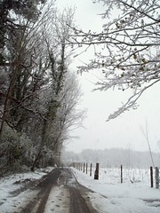 Snowy Adisham 2008