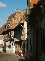 Pfalz / Palatinate