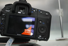 Nikon D800 DSLR Photos Leaked