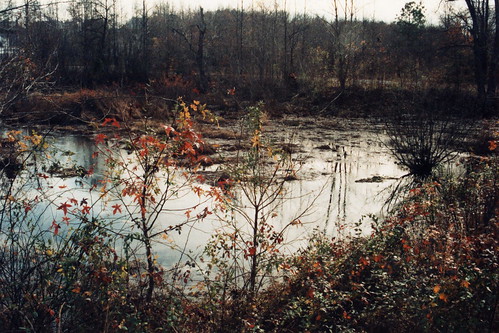 Beaver Dam Creek battlefield, start of the Seven Days battles, US Civil War