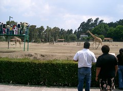 Zacango,Mex.25-05-2008