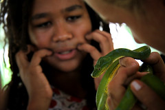 Bali Reptile Lover Visited