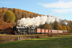 Steam-Hauled Goods Trains.
