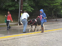 Cow Harbor Day 2009