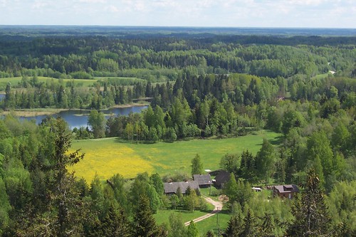 Estonian landscape v.2