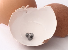 Egg Images