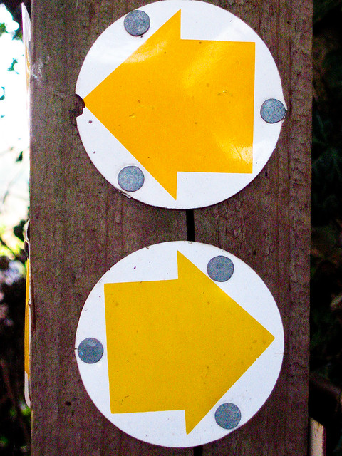 This way. Or this way?
