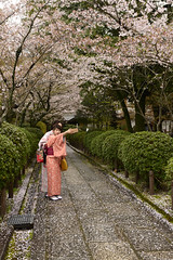 2015 Japan Spring Day 4 Kyoto - 京都