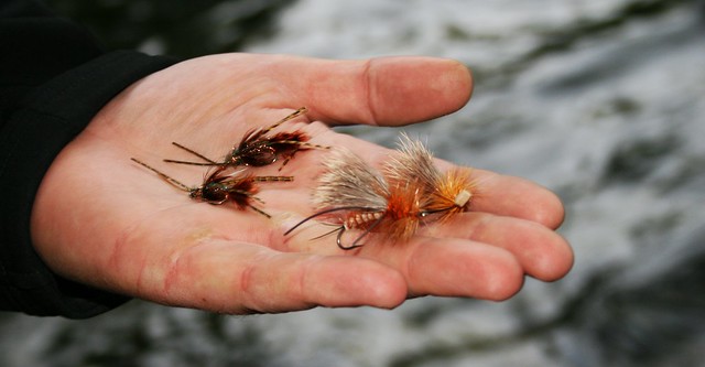 McKenzie River Two-Fly Tournament