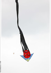 Kites 風箏
