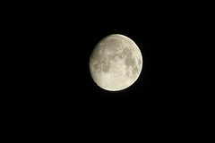 2009 秋 屋頂看月亮