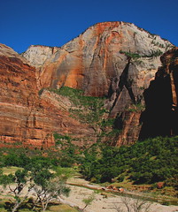Zion National Park, May 2007