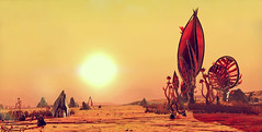 NMS View 13