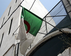 Alger 2006