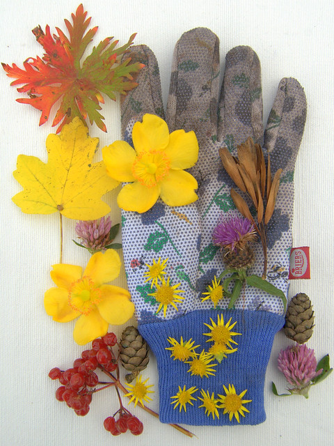 Tim Walker inspired Gardening Glove I am 30 today