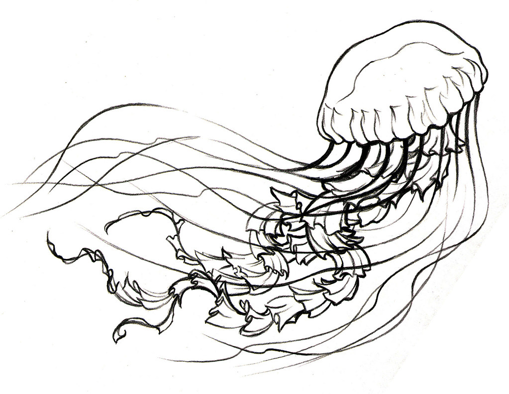 j jellyfish coloring pages - photo #45