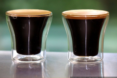 espresso shots - left is timor peaberry, right is ethiopia moreno - _MG_6460
