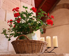 Flower pots in rooms