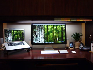 Office Work Area June 2011 - Trees