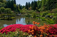 Japanese Gardens and Washington Park Arboretum