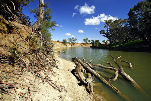 Murrumbidgee River, Hay, New South Wales, Australia, The Long Paddock IMG_5985_Hay