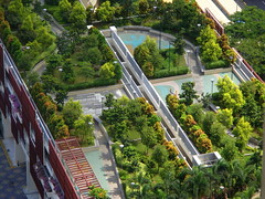 Rooftop Garden from the view of 40th Storey HDB beside the Commonwealth MRT Singapore