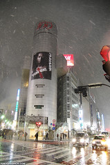 Snow in Tokyo 2010