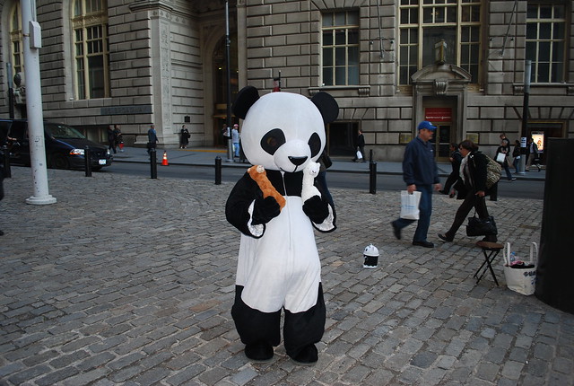Zong Heng and Bai Ci visit the Sad Panda in New York