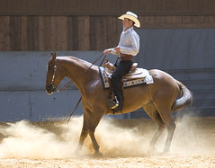HORSES - AQHA Western Riding Competition Bodium July 2009