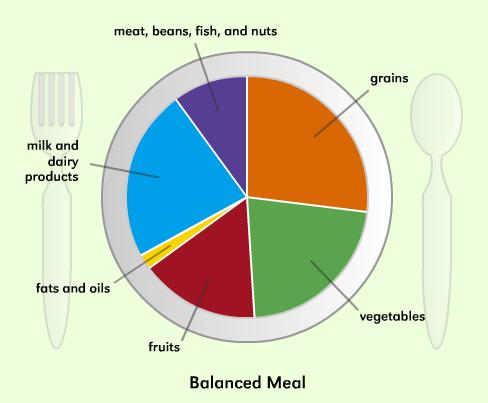 creating a balanced meal- food group plate- healthy nutrition meal planner plate