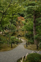 Kyoto Toji-in