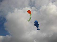 Kite Flying - 2009.05.31