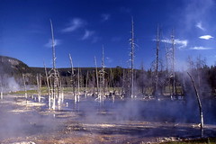 Yellowstone Nat'l Park, 1980